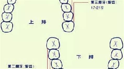 牙齒大顆面相|面相大全——牙齒